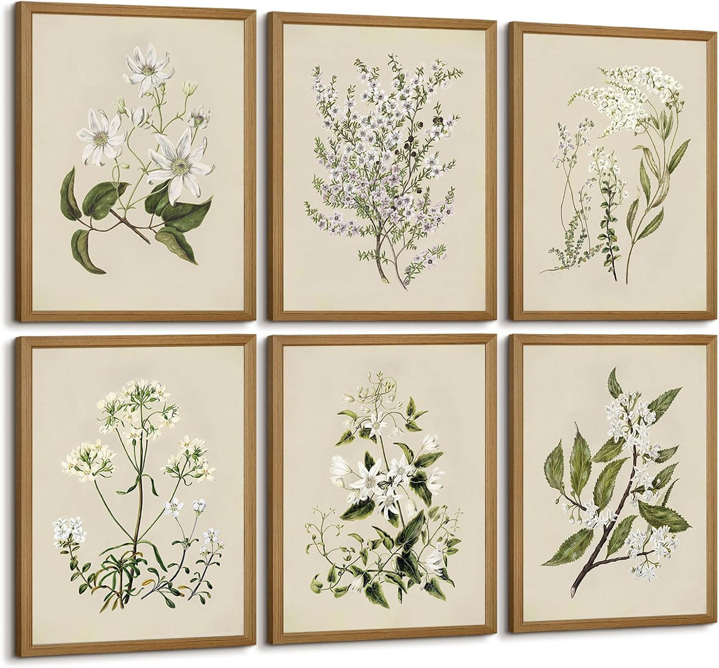 Vintage Botanical Wall Art Set | 6 Framed Neutral Floral Prints