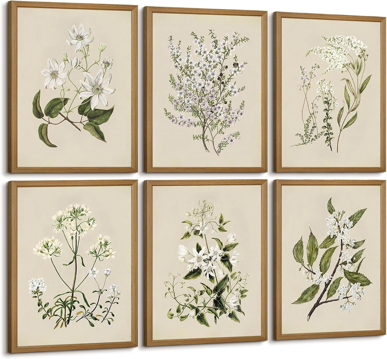 Vintage Botanical Wall Art Set | 6 Framed Neutral Floral Prints