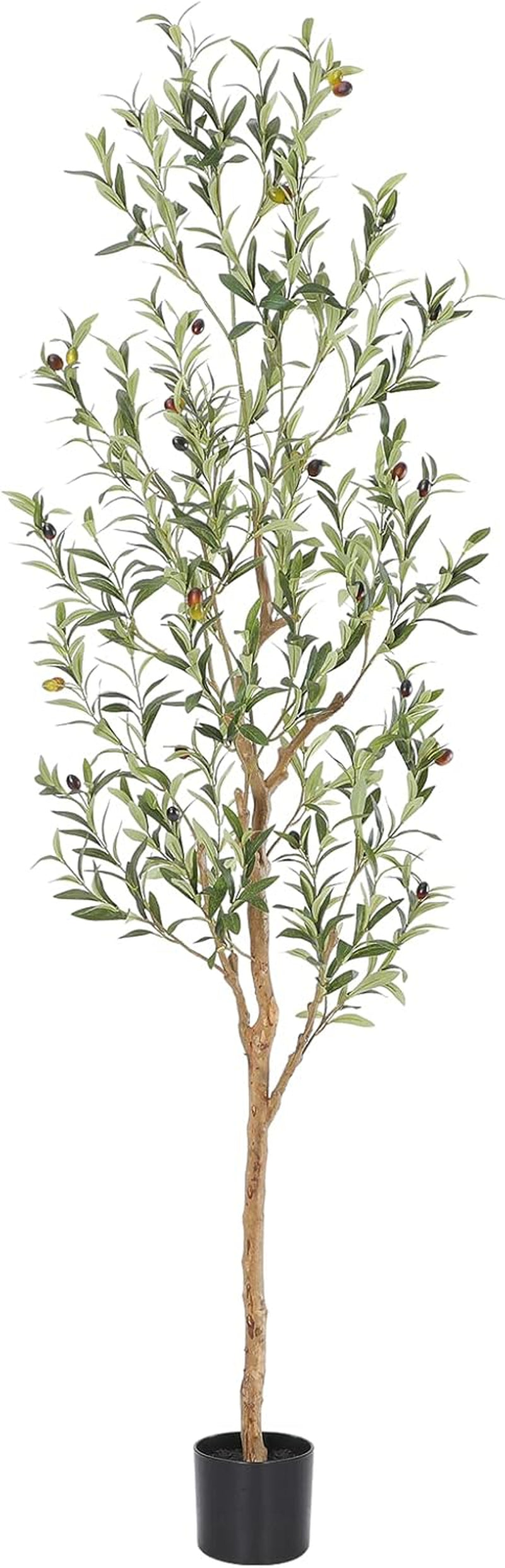 Faux Olive Tree with Natural Wood Trunk